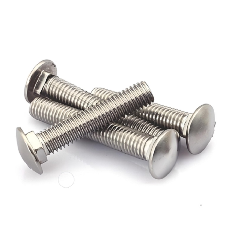 Roestvrijstalen rijtuigbout