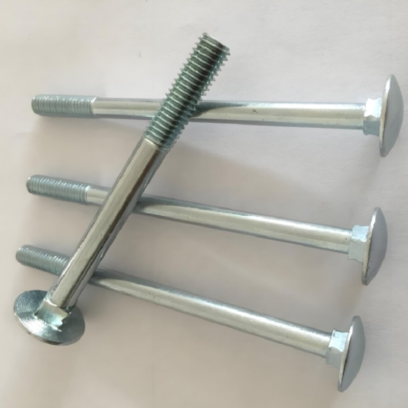 Roestvrijstalen coachbouten