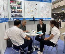 ASME B18.5 perno de carro galvanizado