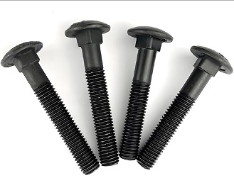 Roestvrijstalen coachbouten