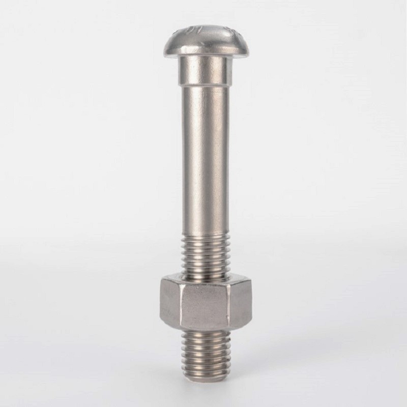 Perno de cabeza redonda no estándar