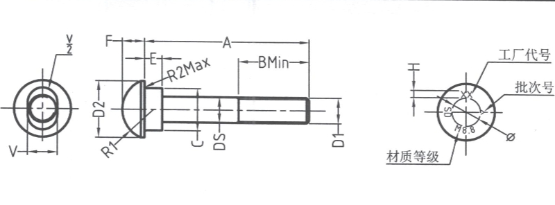 Botón Cabeza Oval Cuello Cuello perno